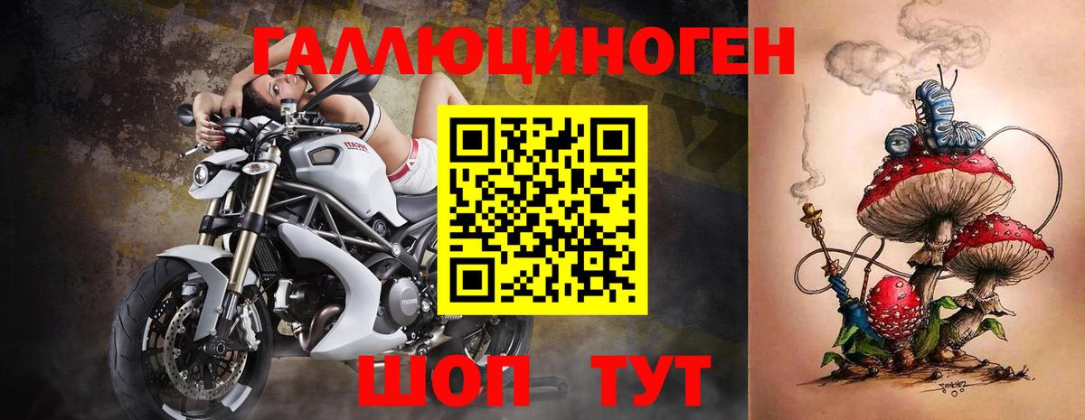 Галлюциногенные грибы Psilocybe Люберцы